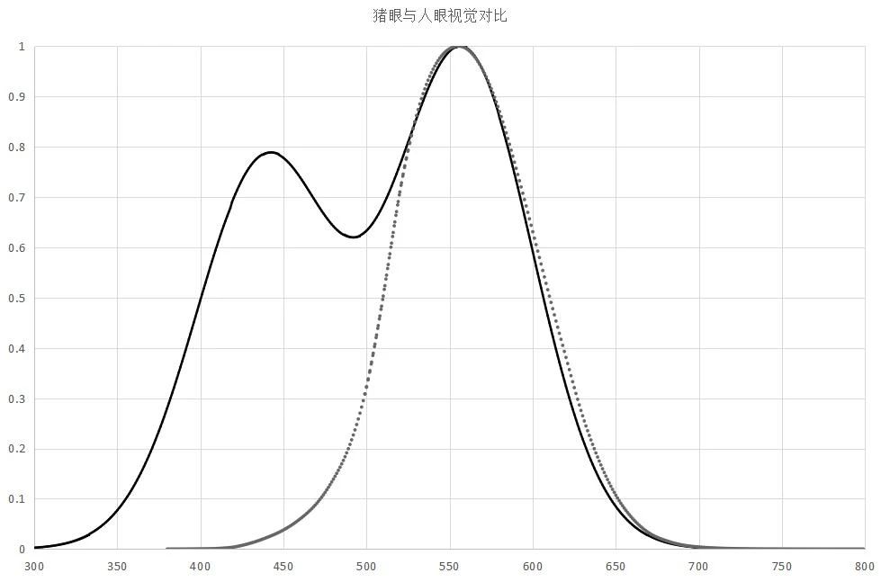 猪眼与人眼视觉对比.jpg