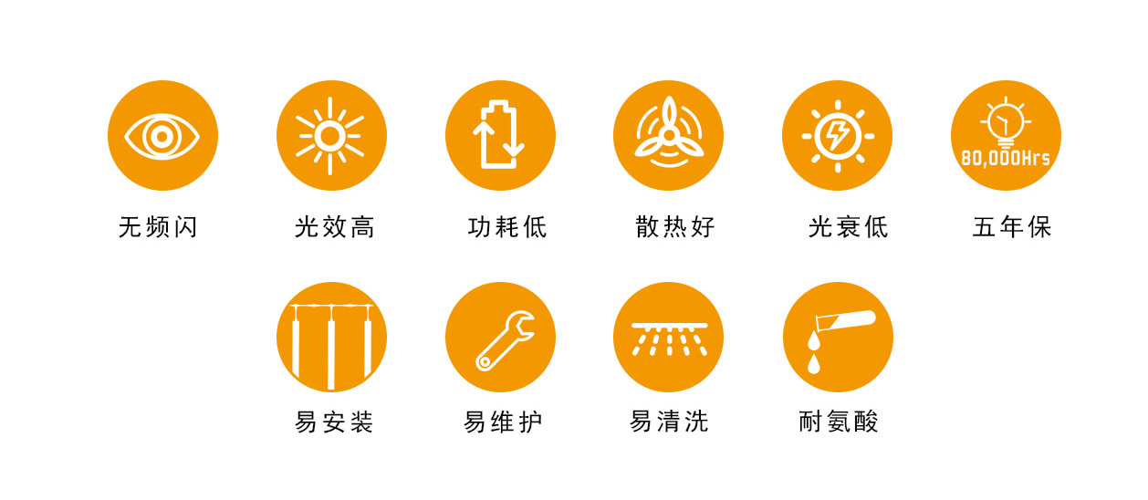 T12详情-5.jpg