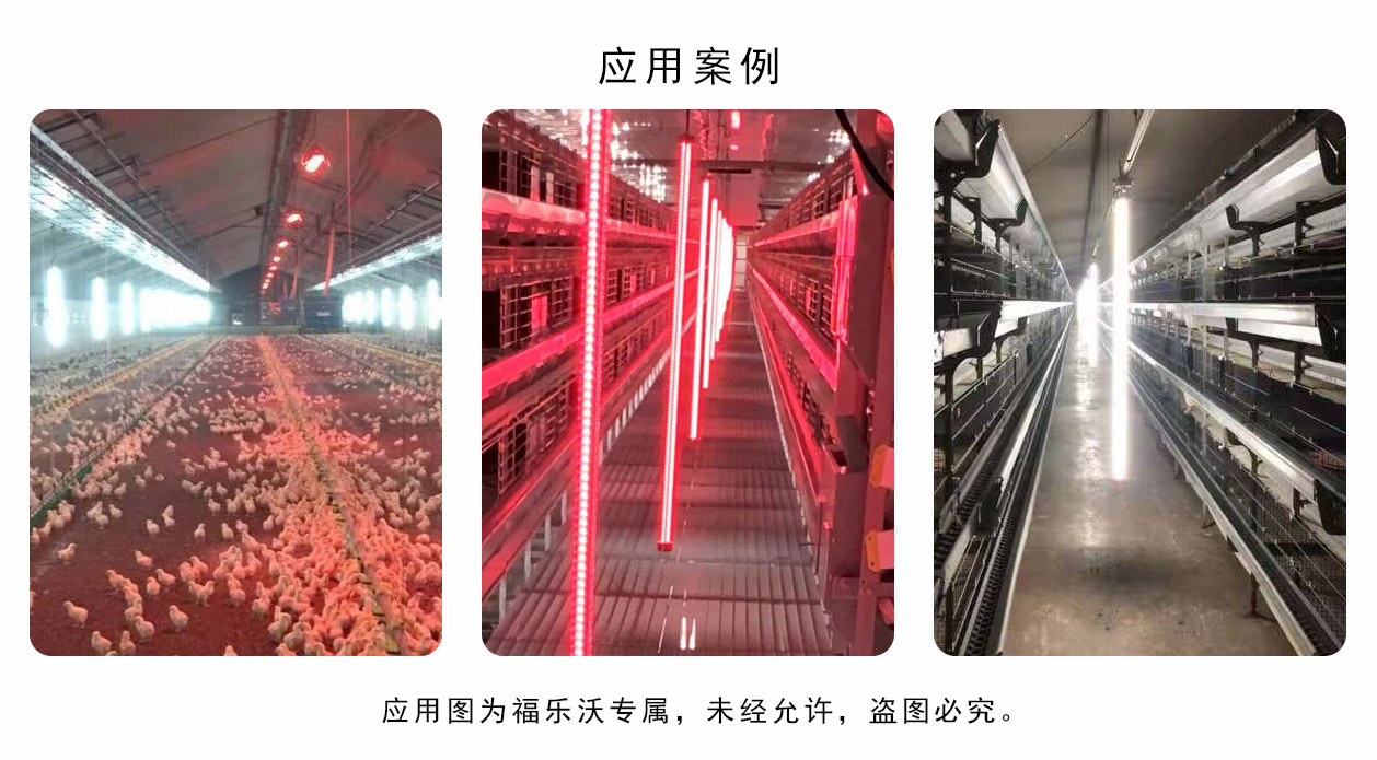 T12详情-6.jpg
